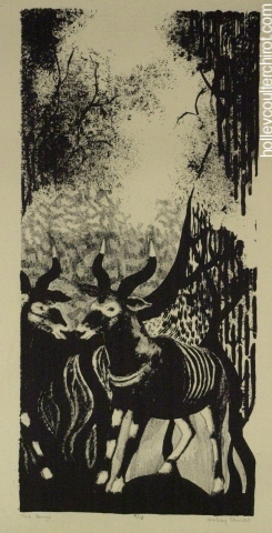 The Bongo