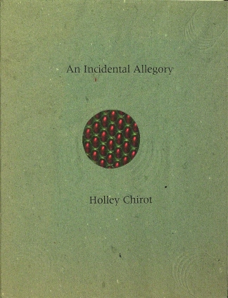 An Incidental Allegory cover